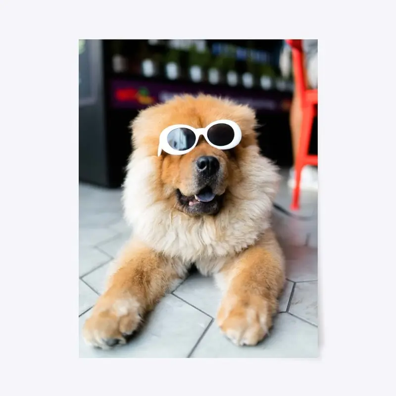 Cool Dog