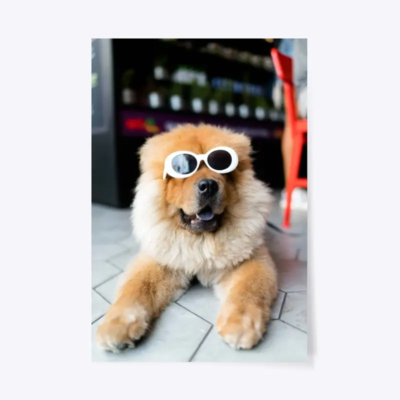 Cool Dog